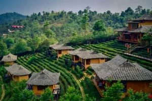 Vivir gratis en Tailandia: ofrecen alojamiento, comidas diarias e internet a cambio de trabajar 25 horas semanales