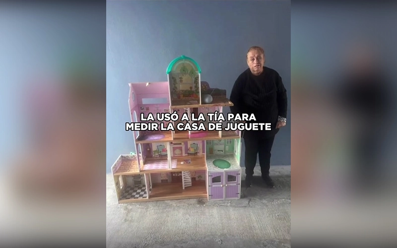 Usó a su tía para medir una casita y ella quedó atascada.