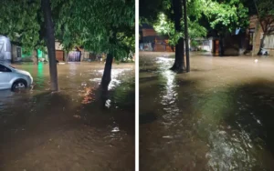 Venado Tuerto una de las ciudades de Santa Fe más afectadas por la lluvia