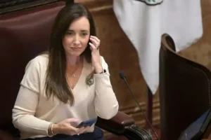 Villarruel renunció a la presidencia del Partido Demócrata