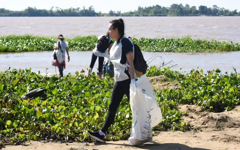 Voluntariado ambiental en el Paraná: forestación y limpieza