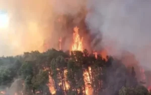 Ya son 6 mil las hectáreas afectadas por los incendios en el Parque Nahuel Huapi