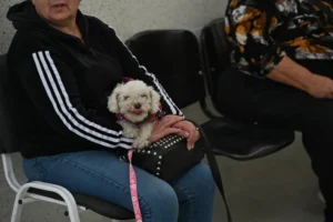 Cómo funciona la nueva guardia del Hospital Animal de Rosario