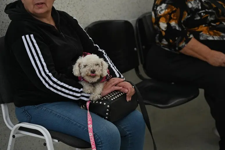 Cómo funciona la nueva guardia del Hospital Animal de Rosario