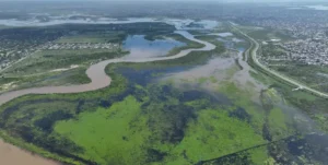 Imagen ilustrativa sobre el uso de inteligencia artificial en noticias falsas