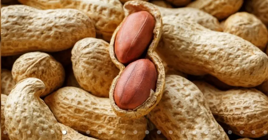 Argentina, potencia mundial en exportaciones agroindustriales