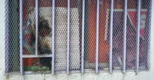 Ataque incendiario en Rosario ligado a una deuda con prestamistas