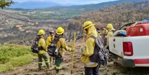 Bomberos voluntarios de Santa Fe en un operativo