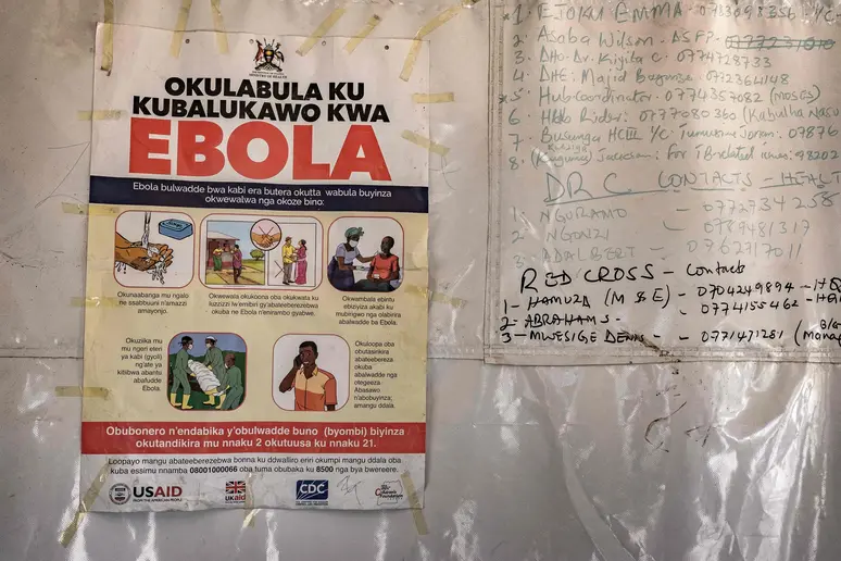 Brote de ébola en África: la nueva variante que preocupa a la OMS