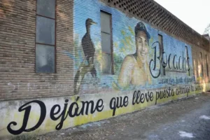 Causa judicial por la muerte de Bocacha Orellano