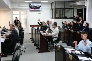 Zdero suspendió las PASO 2027 en Chaco