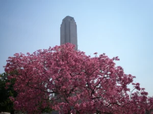 Jueves con agradable temperatura en la ciudad