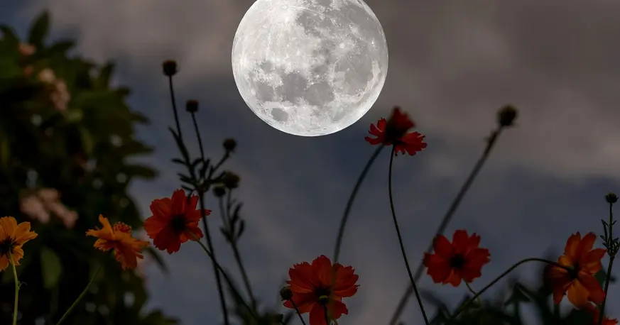 Cuándo se verá la Luna llena de nieve de febrero