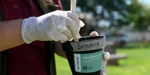 Campañas de prevención de dengue en barrios de Santa Fe