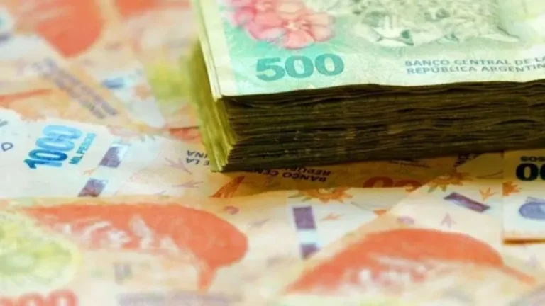 Desigualdad en Argentina: alertan por ingresos de US$8 diarios