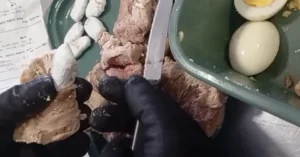 Ingreso a la cárcel de Las Flores en Santa Fe