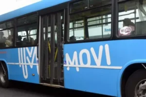 Colectivos y bicicletas públicas en Rosario por el Día de la Bandera