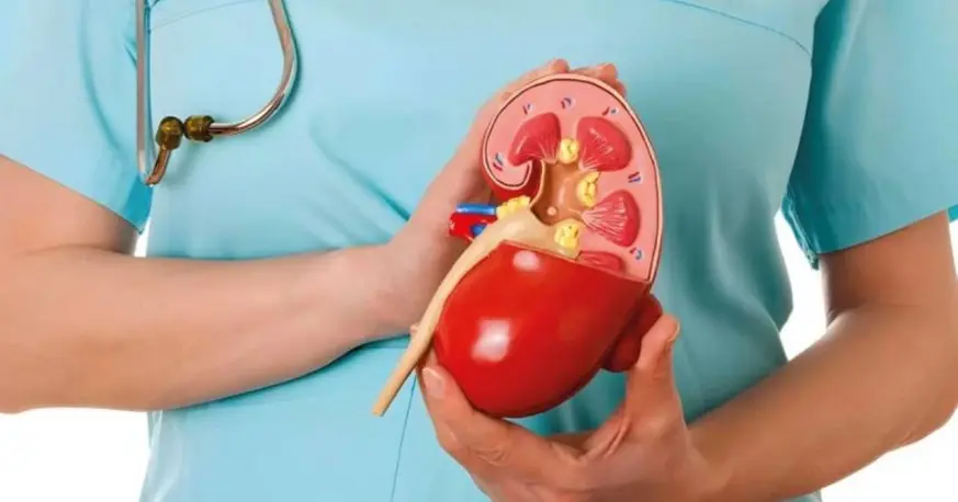 Realizan chequeos gratuitos en Rosario y Santa Fe por el Día Mundial del Riñón