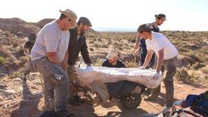 Hallaron restos de un dinosaurio en la patagonia