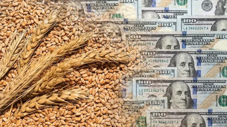 Dólares del agro: la liquidación cayó un 11% en abril