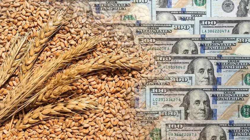 Dólares del agro: la liquidación cayó un 11% en abril