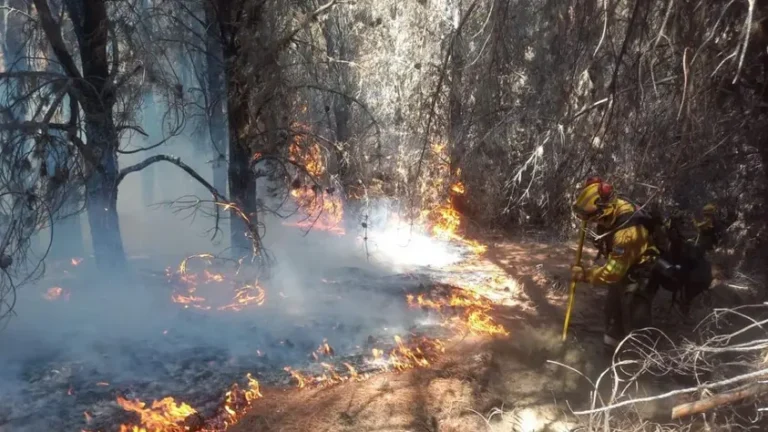 El Gobierno acelera cambios en la ley de Manejo del Fuego