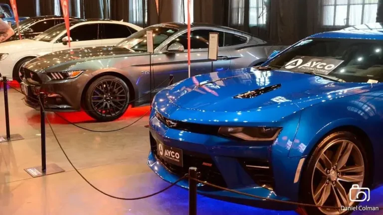 El Gobierno simplificó las licencias ambientales para autos