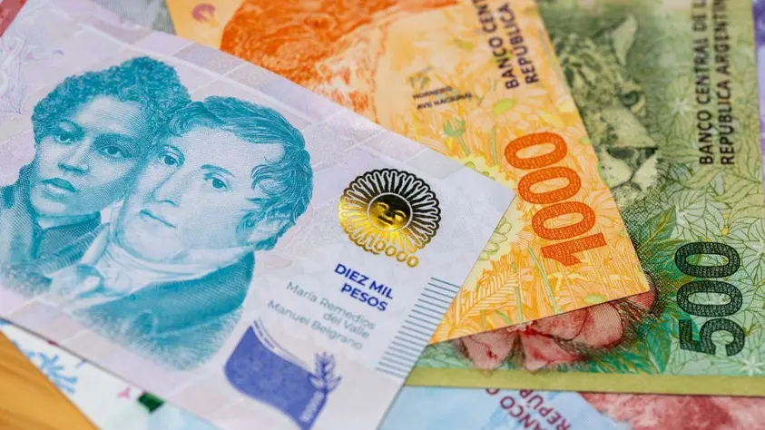 El ingreso disponible cayó un 12% en la era Javier Milei