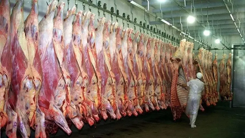 Exportaciones de carne vacuna superan u$s 1.000 millones