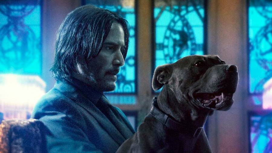 Tras el éxito en taquilla mundial de "John Wick 4", el directivo de la productora Lionsgate, Joe Drake, comunicó que hay futuro para la franquicia protagonizada por Keanu Reeves.