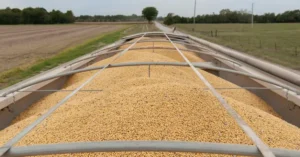 Suba en el precio internacional de la soja