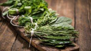 Combatir plagas con plantas