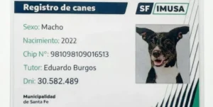 Controles y registro de mascotas en la ciudad de Santa Fe