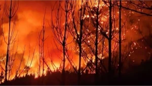 Incendios en Chubut y demoras en el Congreso