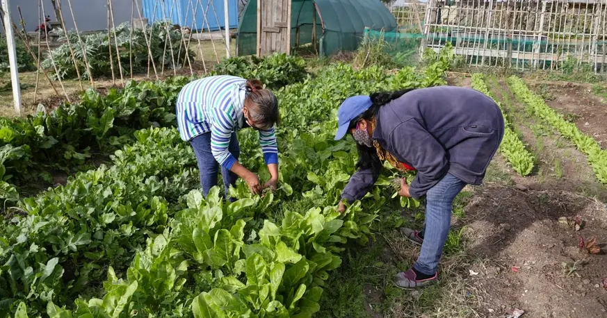 Jornada de preparados agroecológicos en el CAR Rosario