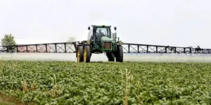 Juicio histórico en Rosario por fumigaciones y daño ambiental