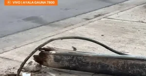Patrullero y operarios tras la caída de un poste en barrio 7 de Septiembre