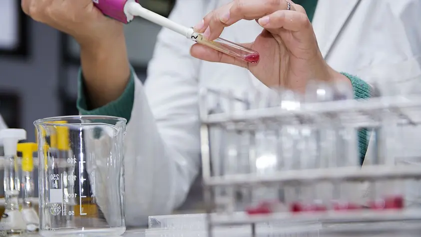 Lanzan el programa Sello Ciencia Argentina para pymes tech