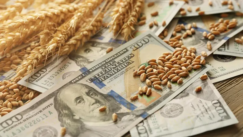 Las lluvias frenan al agro, pero las exportaciones siguen en récord