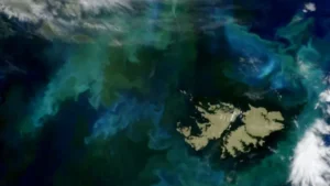 Tensión en Malvinas: crece el rechazo a la Argentina