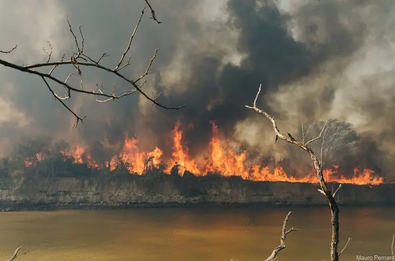 Nuevos incendios en las islas frente a Rosario