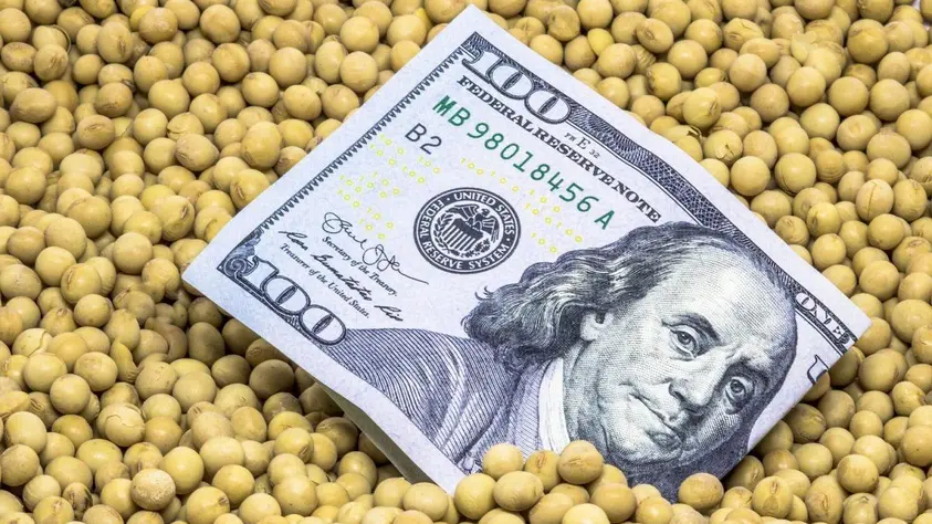 Proyectan que sin retenciones el agro exportaría u$s 50.500 M