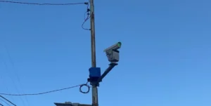 Rafaela prueba un sistema láser antipájaros en el centro
