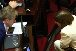 Reforma política en el Senado: presión por ficha limpia