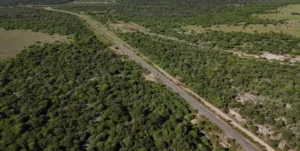 Repavimentarán la ruta 83-S entre la Ruta 11 y La Gallareta