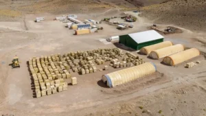 Aval oficial al proyecto minero Diablillos en el NOA
