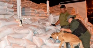 Rosario: condenan al jefe de banda que traficaba cocaína en camiones