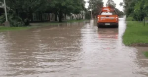 Santa Fe prorroga la vacunación antiaftosa por las inundaciones