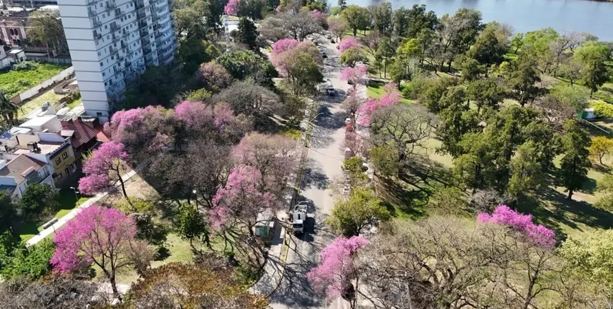 Santa Fe proyecta plantar 25 mil árboles para 2027