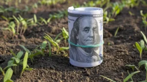 Se desploma 41% la liquidación de dólares del agro en febrero